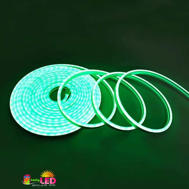 Neon Flex Lights