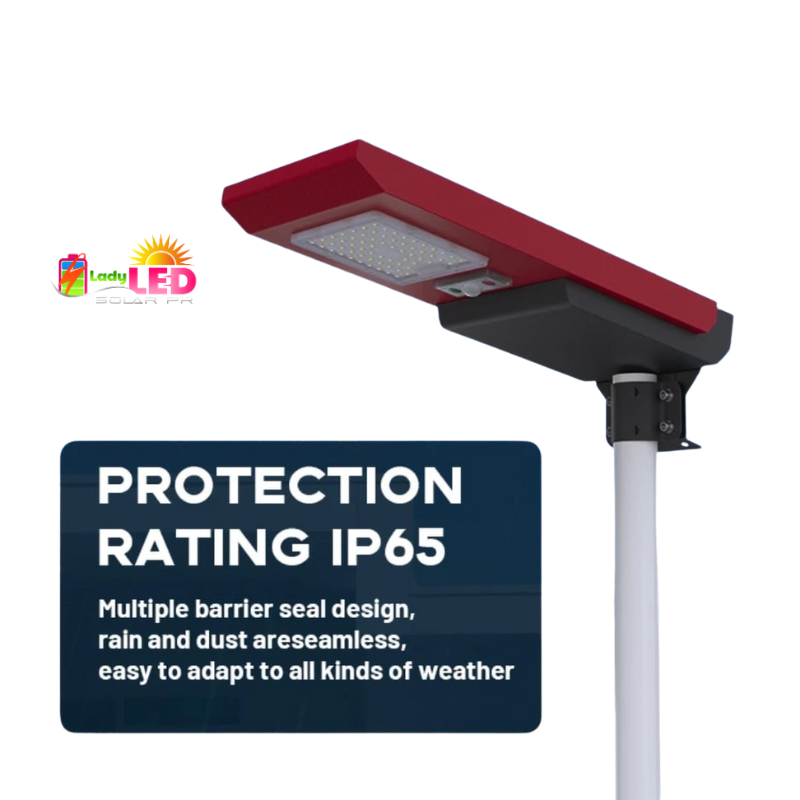 Red Nova (placa integrada)