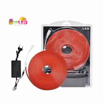 Neon Flex Lights