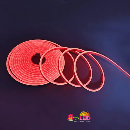 Neon Flex Lights
