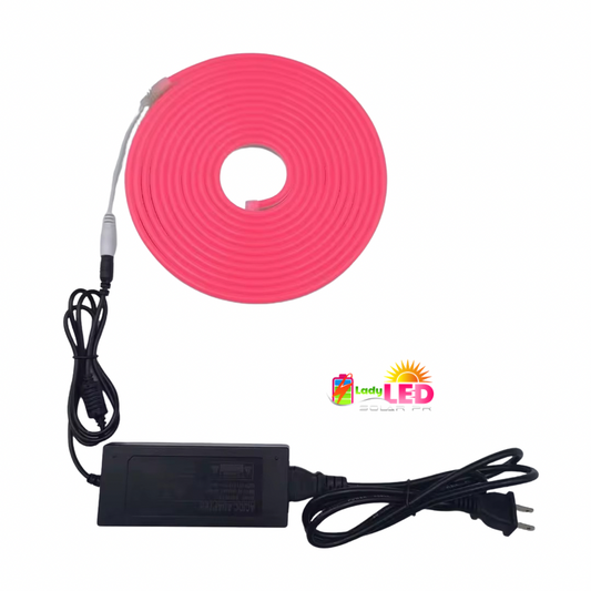 Neon Flex Lights