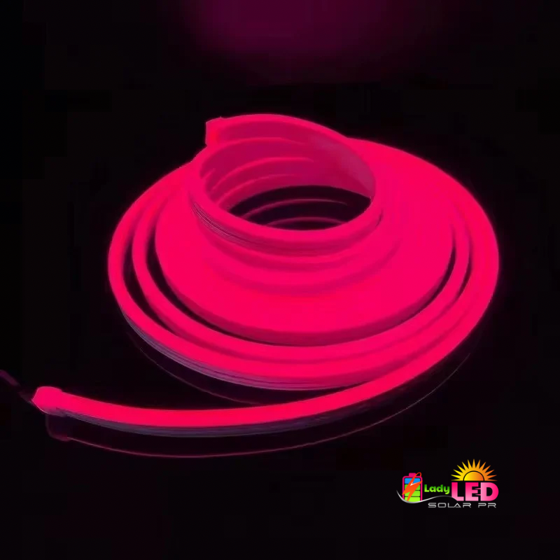 Neon Flex Lights