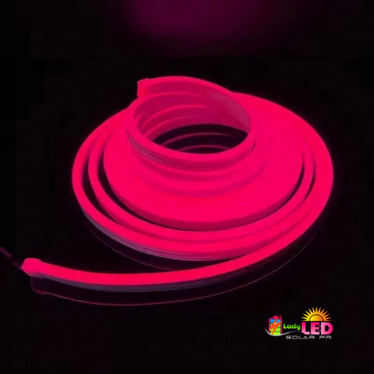 Neon Flex Lights