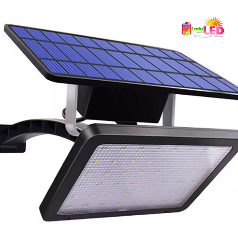 Foco con placa aparte (23’)