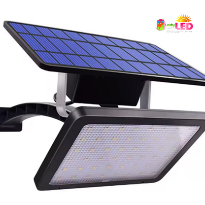 Foco con placa aparte (23’)