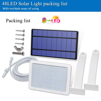 Foco con placa aparte (23’)