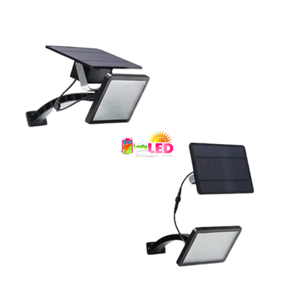 Foco con placa aparte (23’)