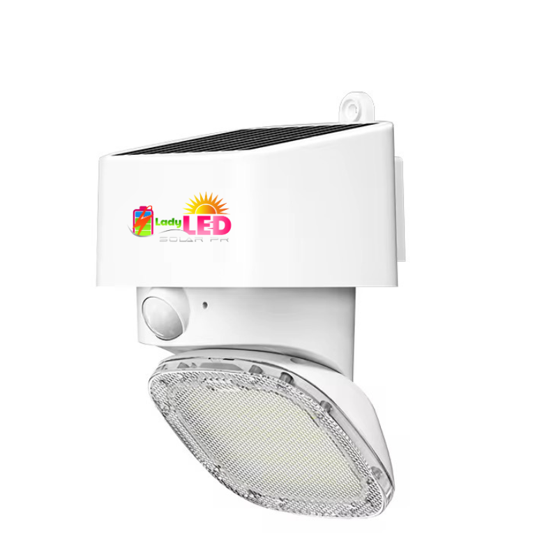 Solar Wall Light (moving)