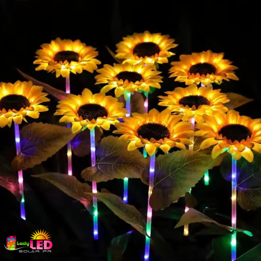 Girasoles Solares