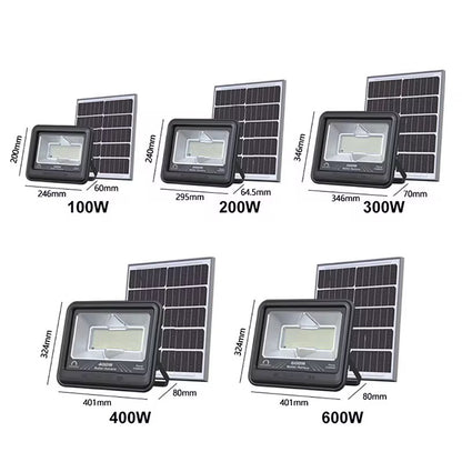 Aurora SOLAR 100w